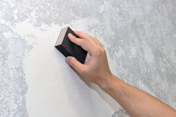 Best Real Estate Mold Inspection  in Ridley Rk, PA