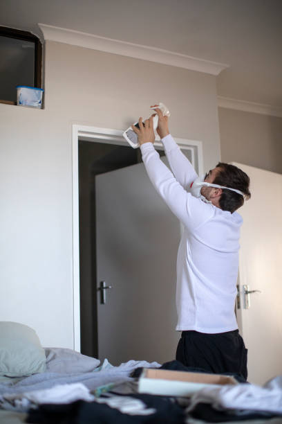 Best Water Damage & Mold Remediation  in Ridley Rk, PA