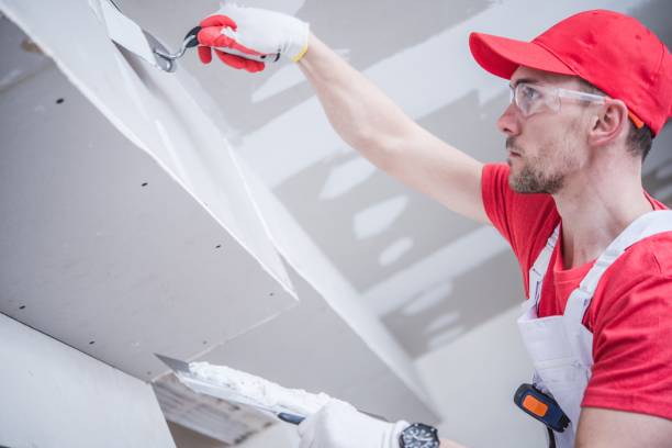 Environmental Consulting for Mold Prevention in Ridley Park, PA
