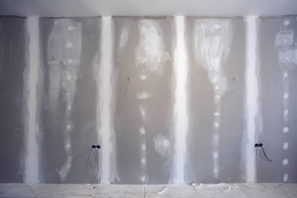 Best Attic Mold Removal  in Ridley Rk, PA